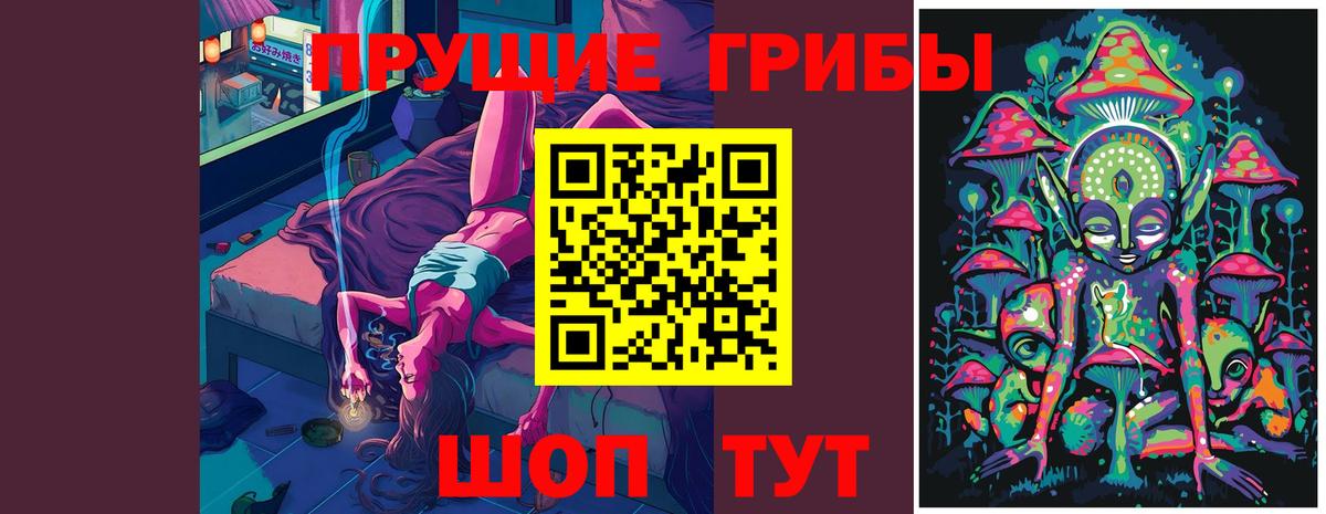 Галлюциногенные грибы Psilocybe  Вход с VPN  Красный Сулин  Псилоцибиновые грибы Psilocybe 